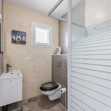 Feriehus Maison Spacieuse A Biscarrosse-plage Pres De L'ocean - Fr-1-521-251 Biscarrosse