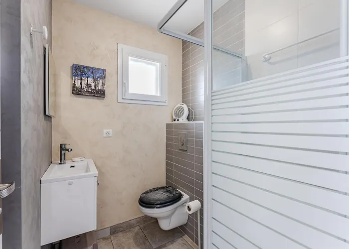 Semesterbostad Maison Spacieuse A Biscarrosse-plage Pres De L'ocean - Fr-1-521-251 Biscarrosse